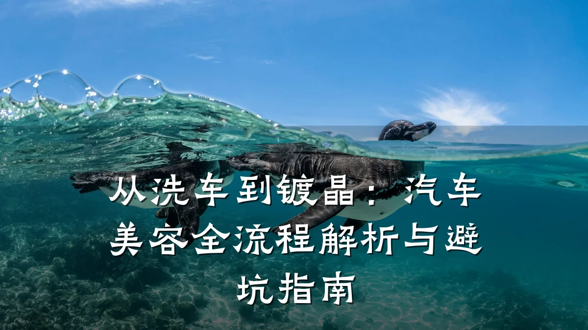 从洗车到镀晶:汽车美容全流程解析与避坑指南
