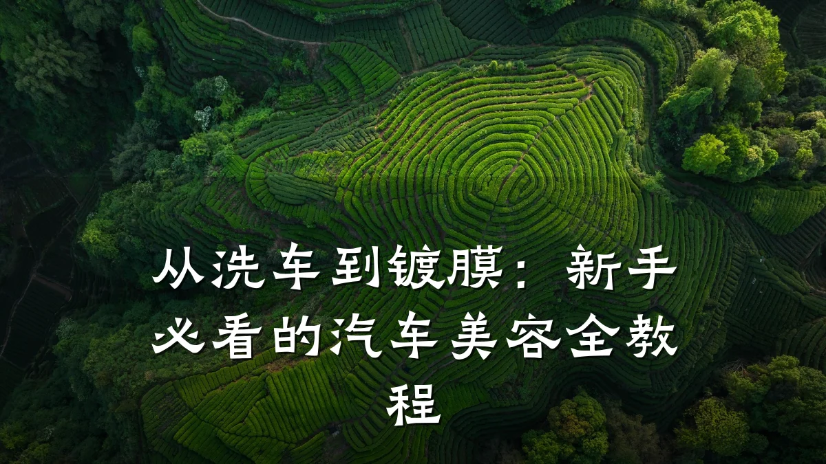从洗车到镀膜:新手必看的汽车美容全教程