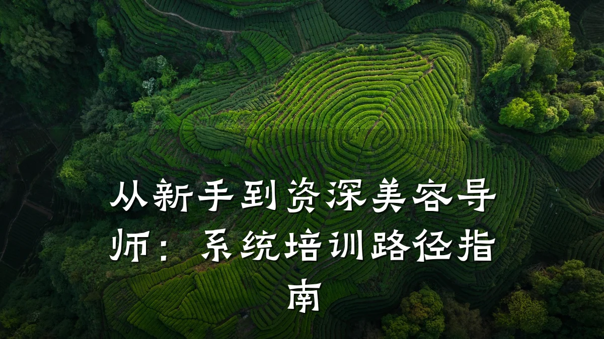 从新手到资深美容导师：系统培训路径指南