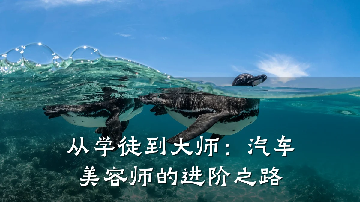 从学徒到大师:汽车美容师的进阶之路