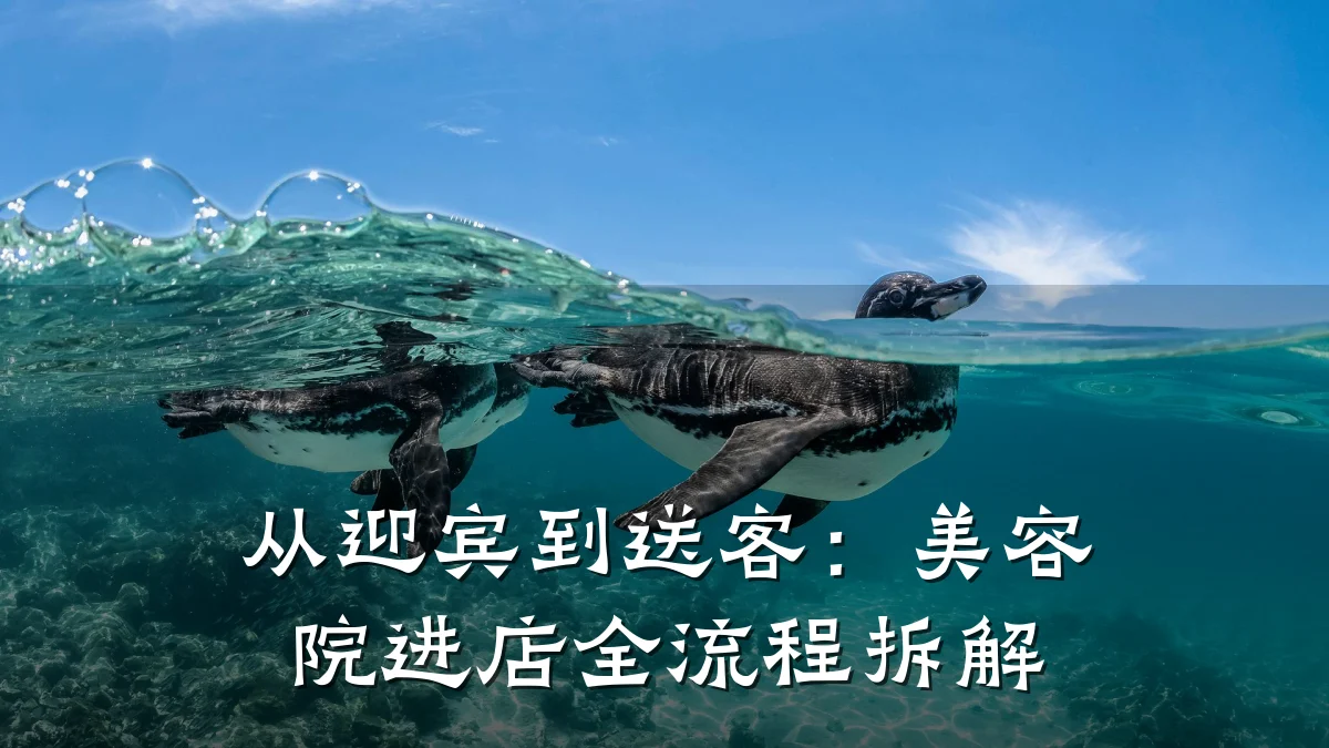 从迎宾到送客:美容院进店全流程拆解