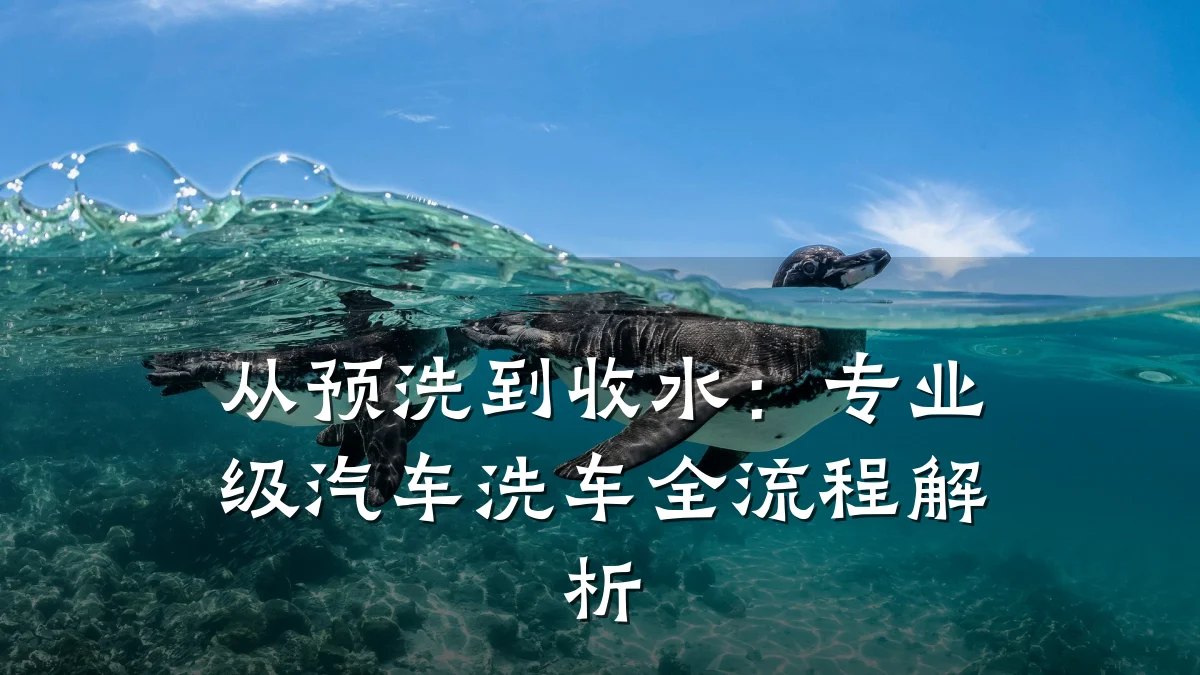 从预洗到收水:专业级汽车洗车全流程解析