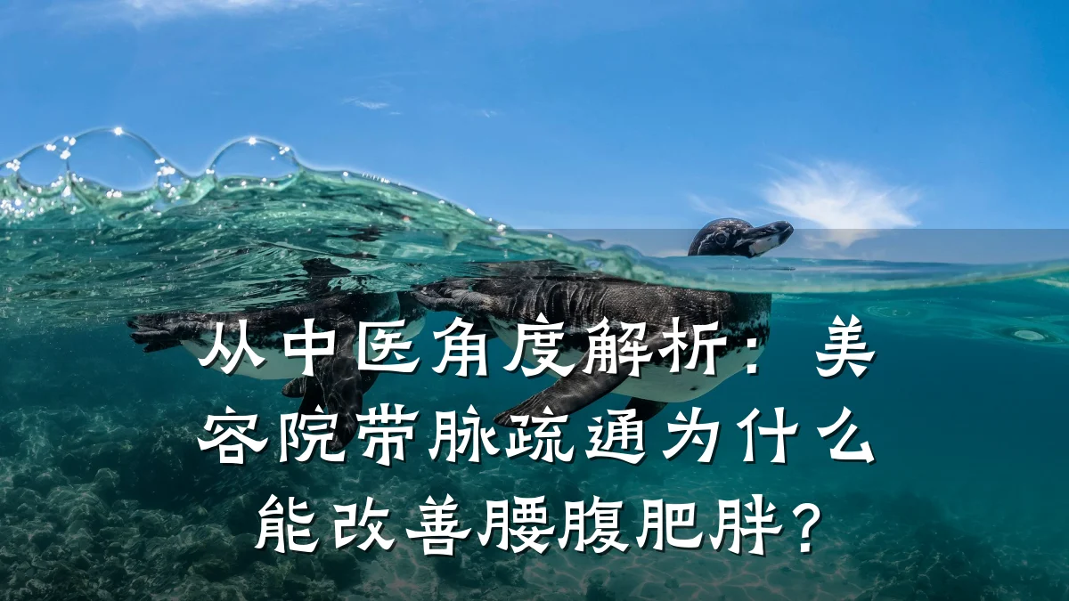 从中医角度解析:美容院带脉疏通为什么能改善腰腹肥胖?