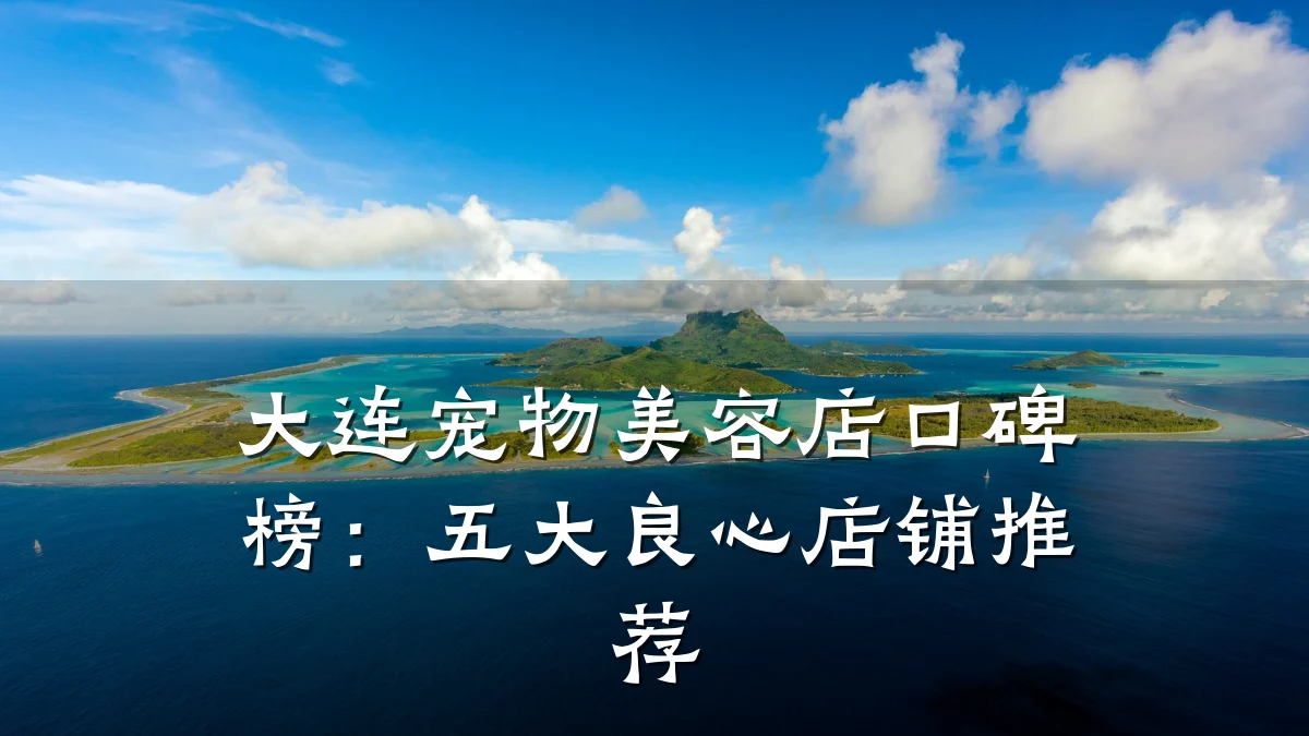 大连宠物美容店口碑榜:五大良心店铺推荐