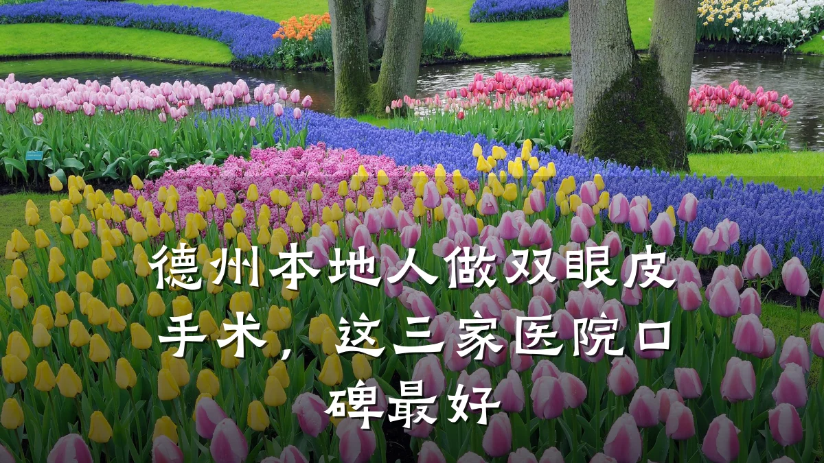 德州本地人做双眼皮手术，这三家医院口碑最好