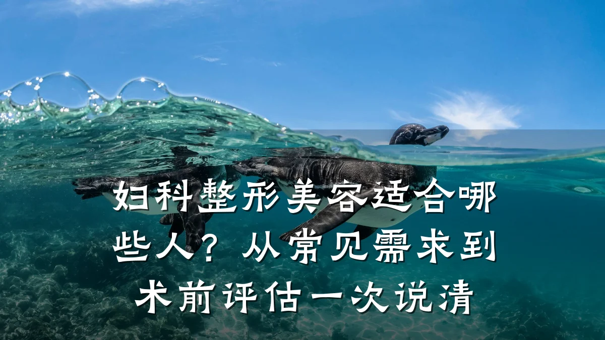 妇科整形美容适合哪些人?从常见需求到术前评估一次说清