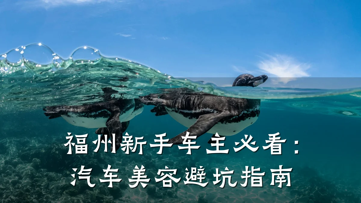 福州新手车主必看:汽车美容避坑指南