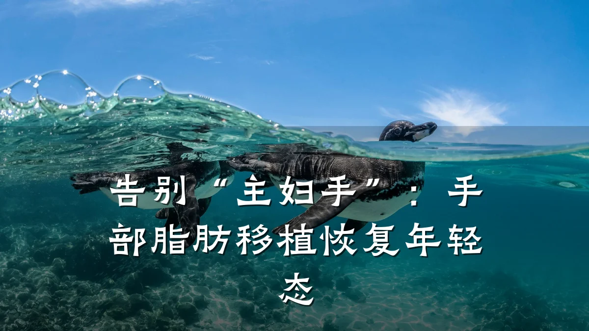 告别“主妇手”：手部脂肪移植恢复年轻态