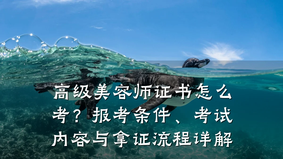 高级美容师证书怎么考?报考条件、考试内容与拿证流程详解