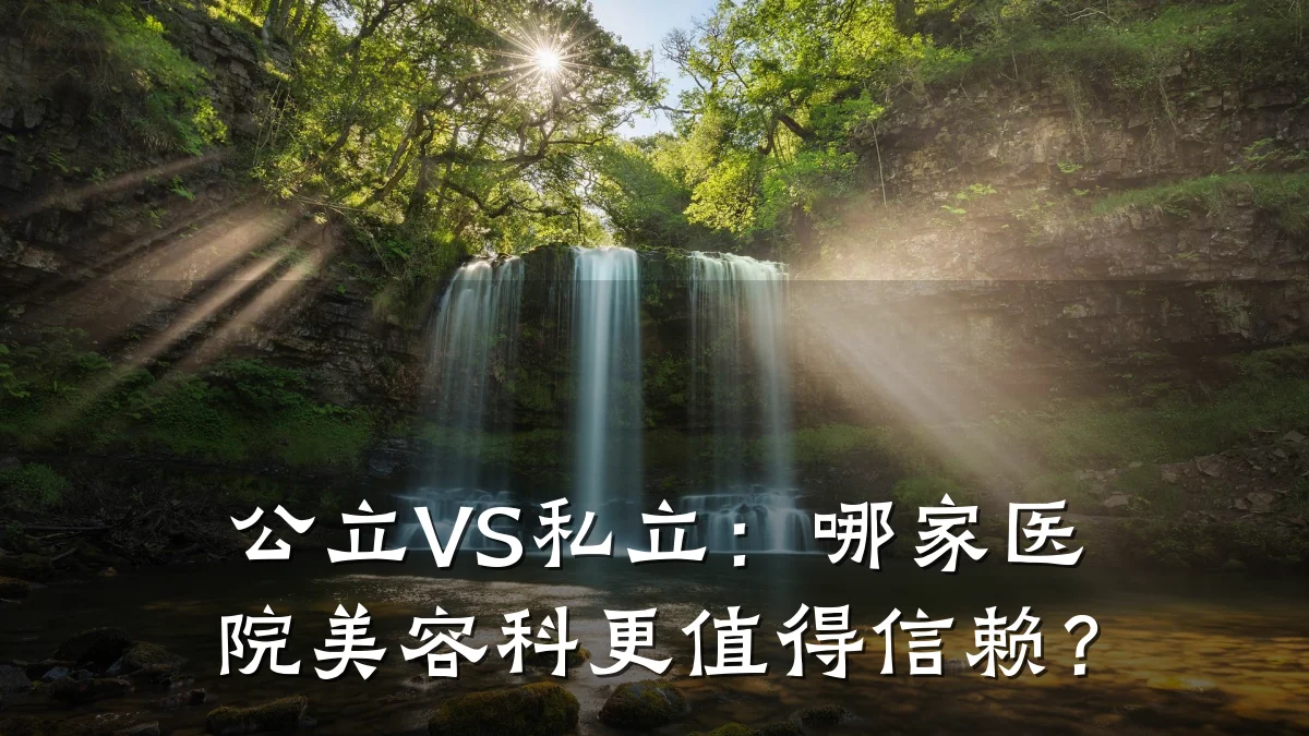 公立VS私立:哪家医院美容科更值得信赖?