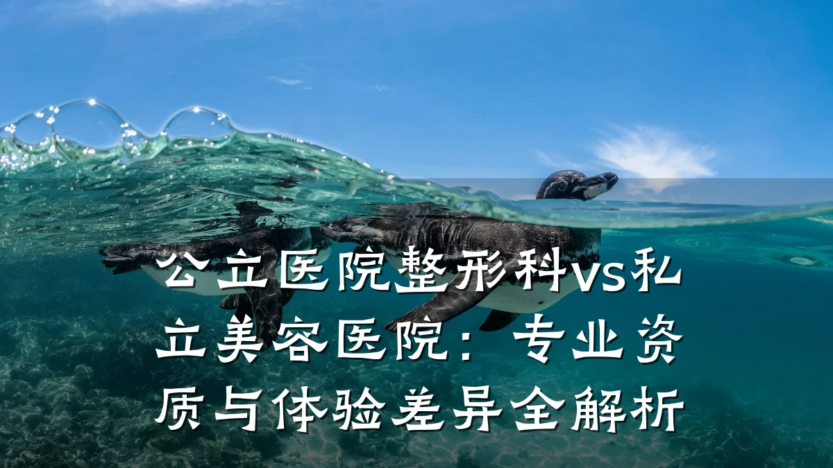 公立医院整形科vs私立美容医院:专业资质与体验差异全解析