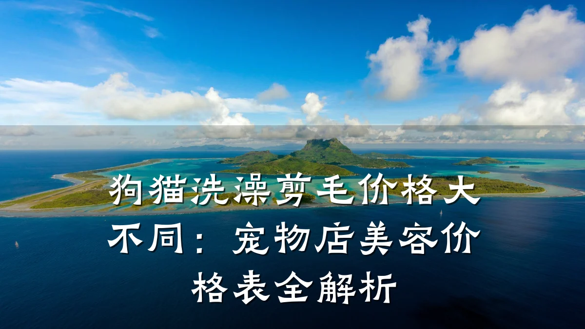狗猫洗澡剪毛价格大不同:宠物店美容价格表全解析