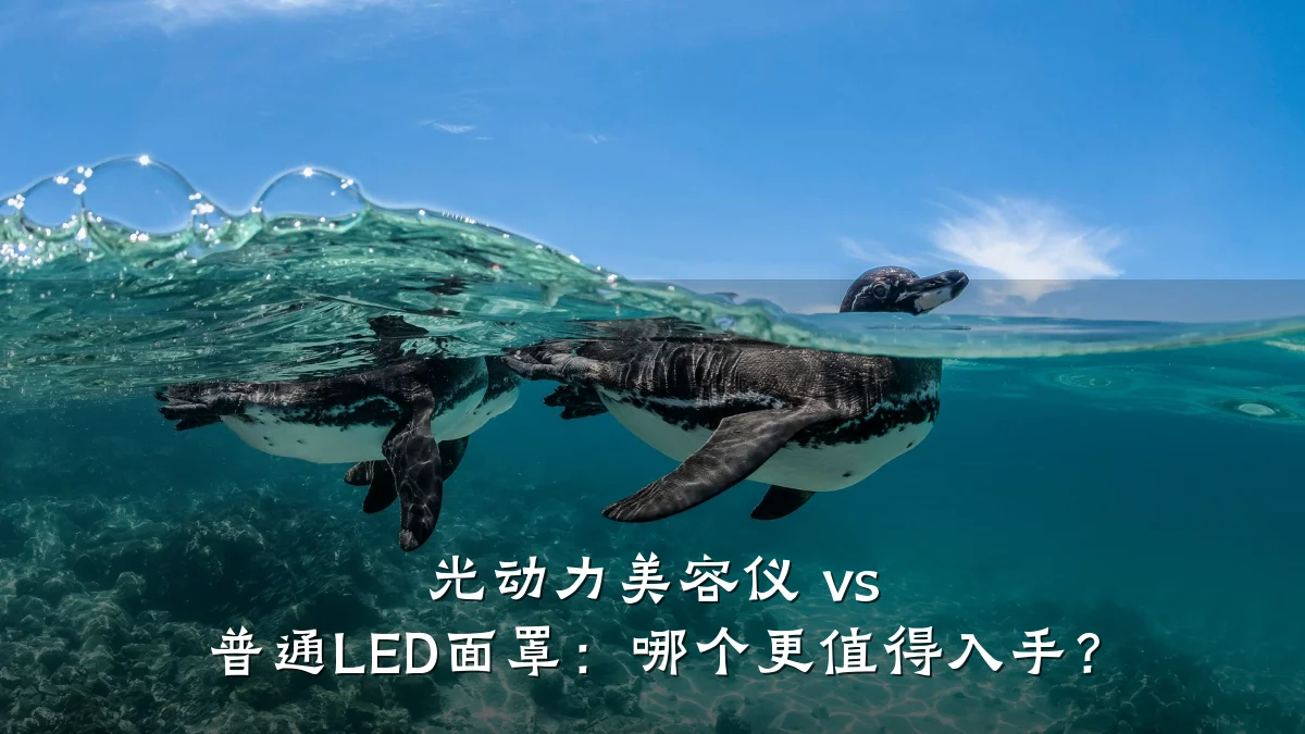 光动力美容仪 vs 普通LED面罩:哪个更值得入手?