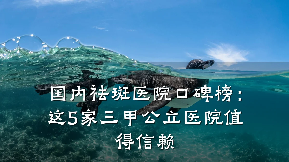 国内祛斑医院口碑榜:这5家三甲公立医院值得信赖