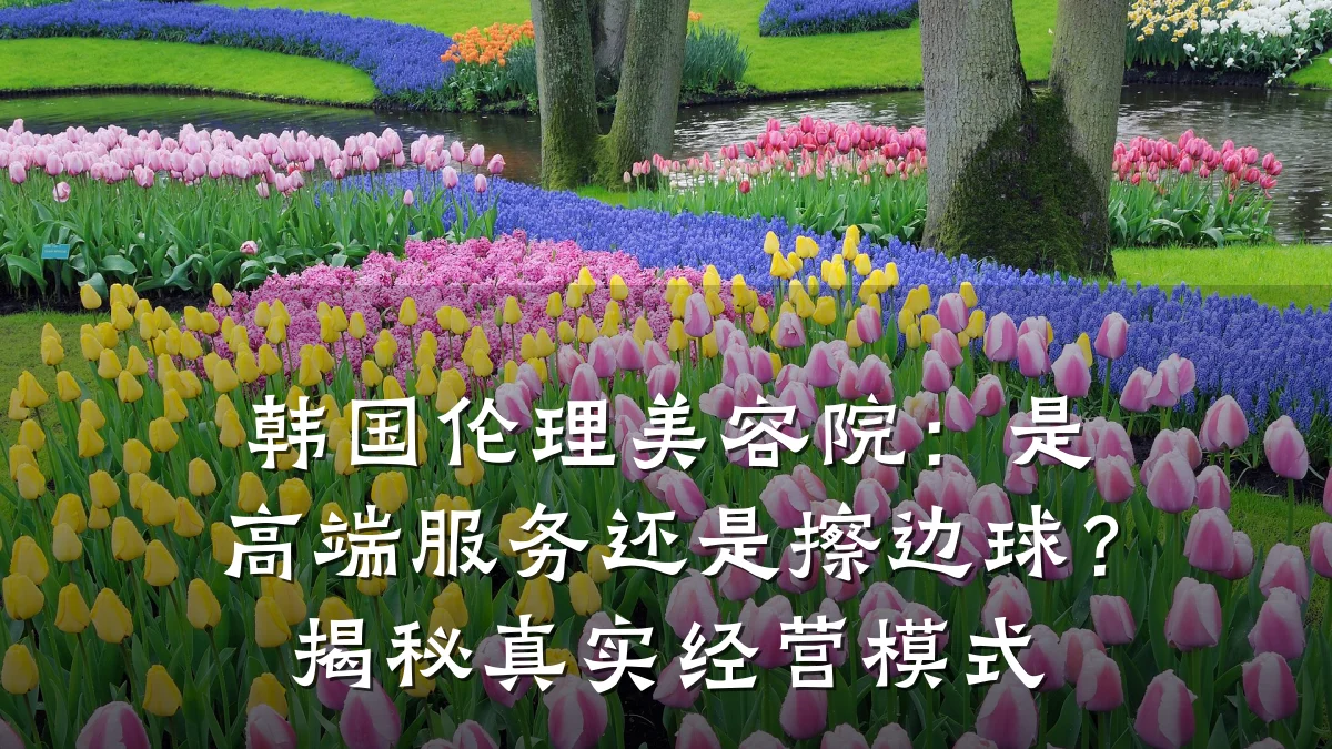 韩国伦理美容院:是高端服务还是擦边球?揭秘真实经营模式