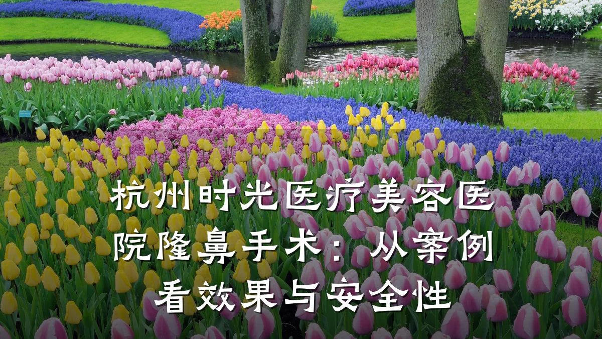 杭州时光医疗美容医院隆鼻手术:从案例看效果与安全性