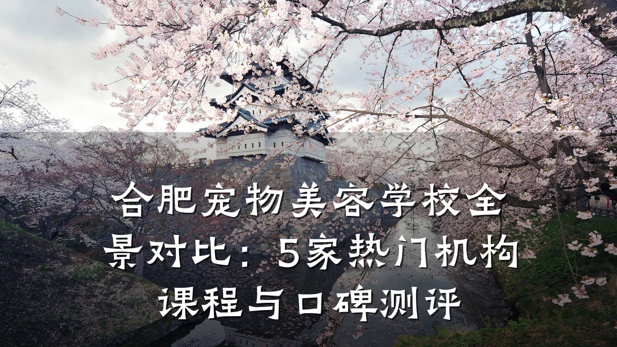 合肥宠物美容学校全景对比:5家热门机构课程与口碑测评