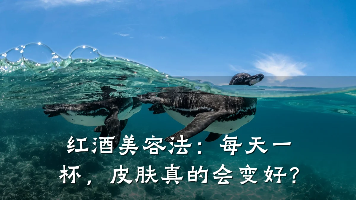 红酒美容法:每天一杯,皮肤真的会变好?