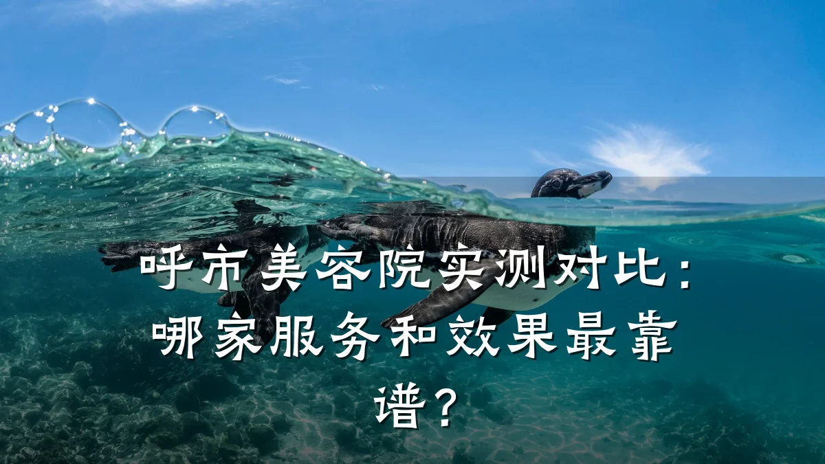呼市美容院实测对比:哪家服务和效果最靠谱?