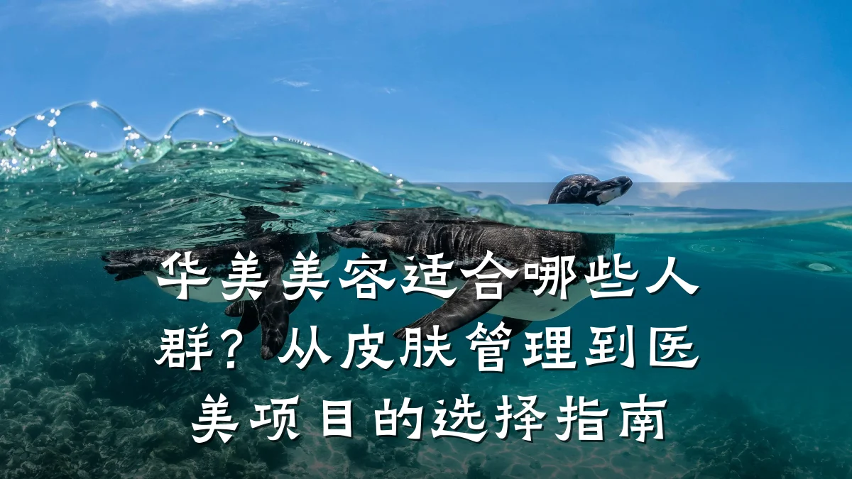 华美美容适合哪些人群?从皮肤管理到医美项目的选择指南
