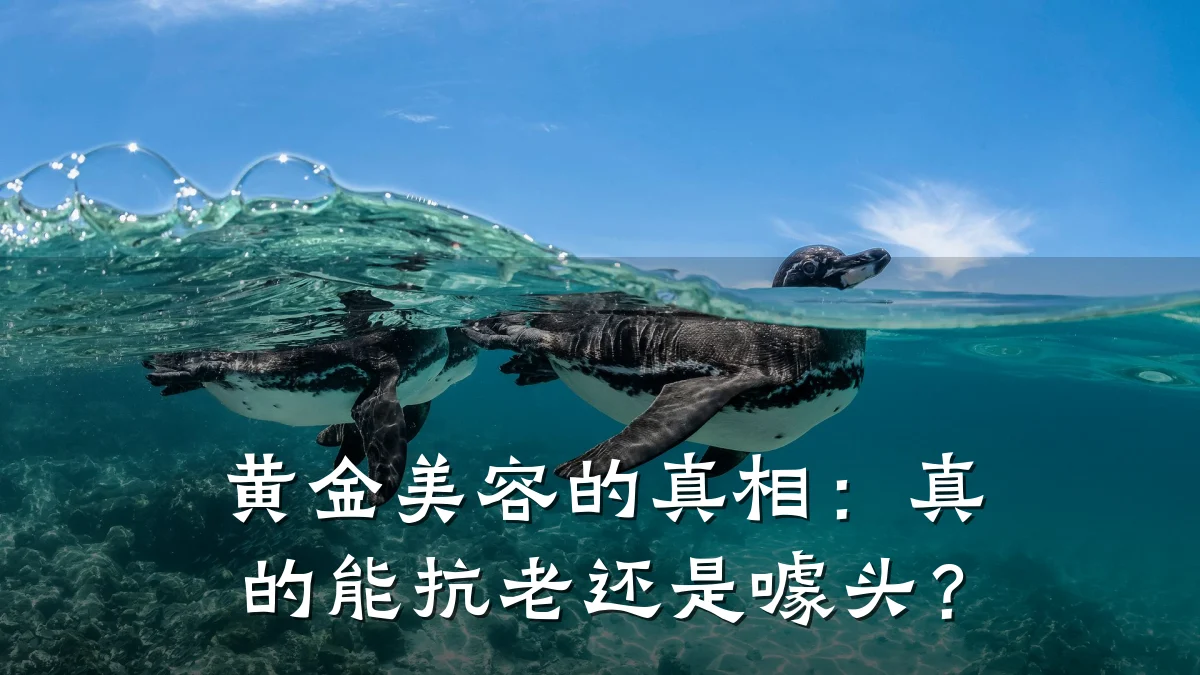黄金美容的真相:真的能抗老还是噱头?