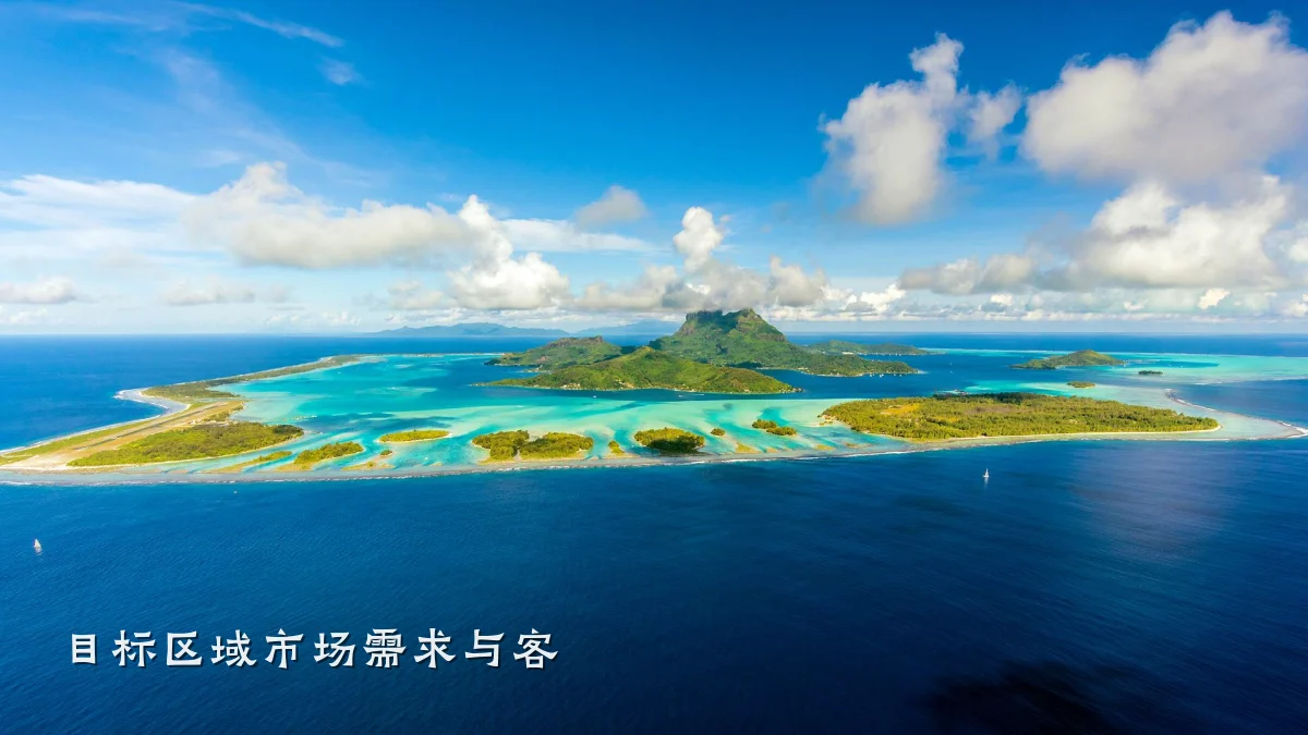 目标区域市场需求与客