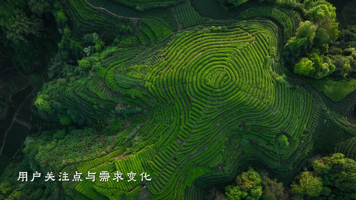 用户关注点与需求变化