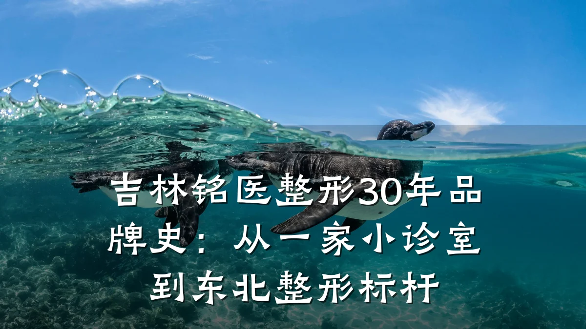 吉林铭医整形30年品牌史:从一家小诊室到东北整形标杆