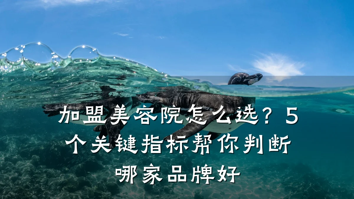 加盟美容院怎么选?5个关键指标帮你判断哪家品牌好