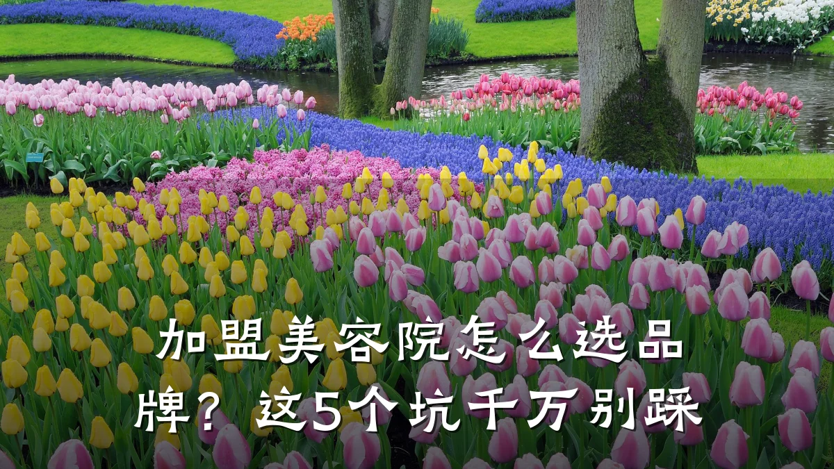 加盟美容院怎么选品牌？这5个坑千万别踩