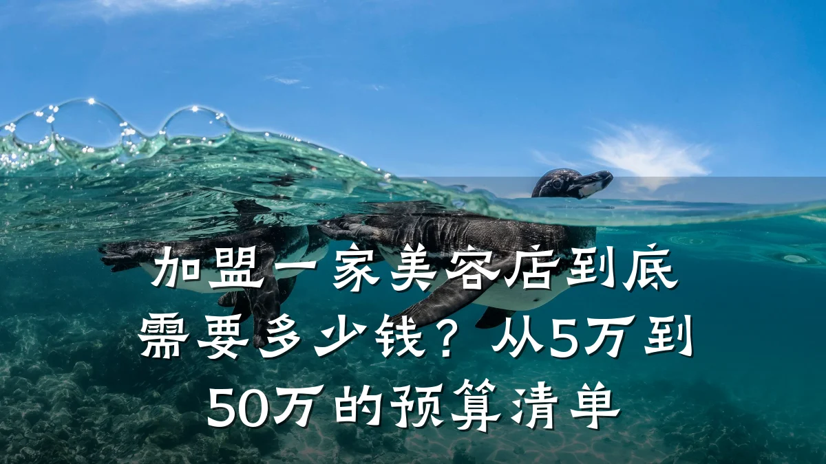 加盟一家美容店到底需要多少钱?从5万到50万的预算清单