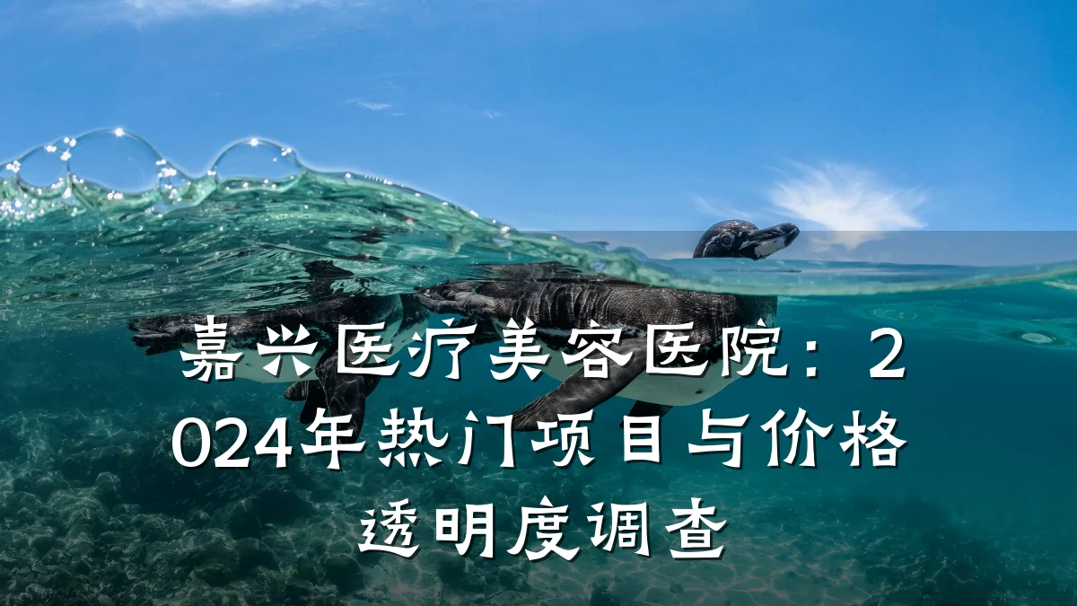 嘉兴医疗美容医院:2024年热门项目与价格透明度调查
