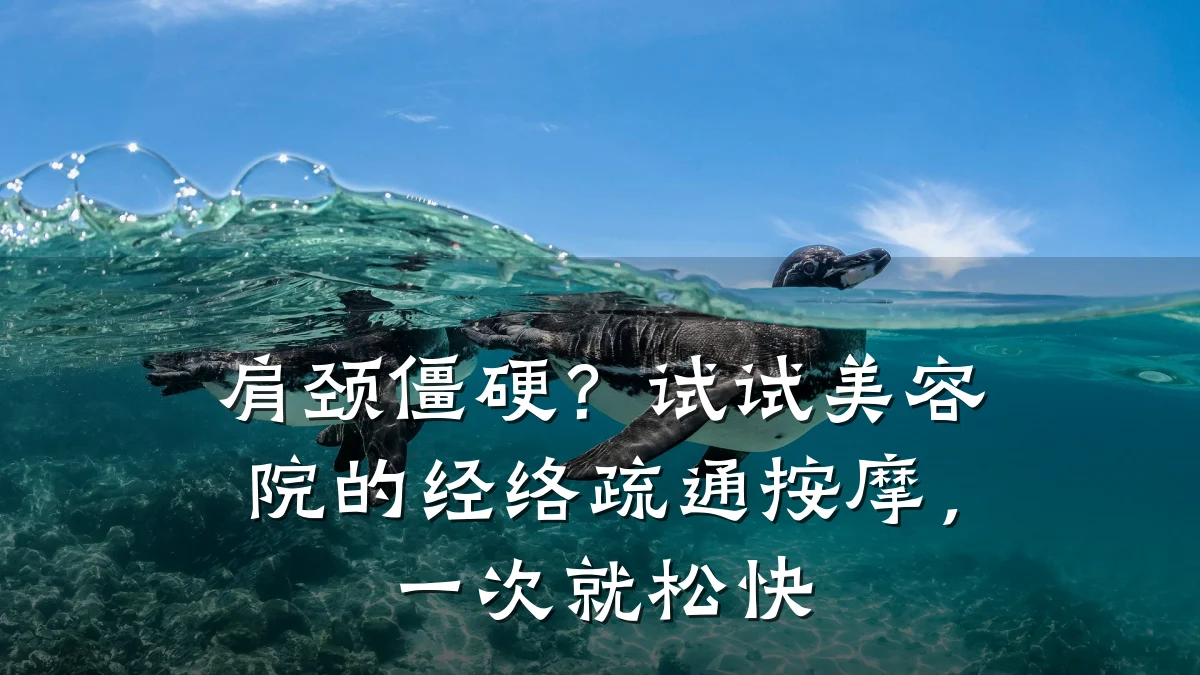 肩颈僵硬?试试美容院的经络疏通按摩,一次就松快
