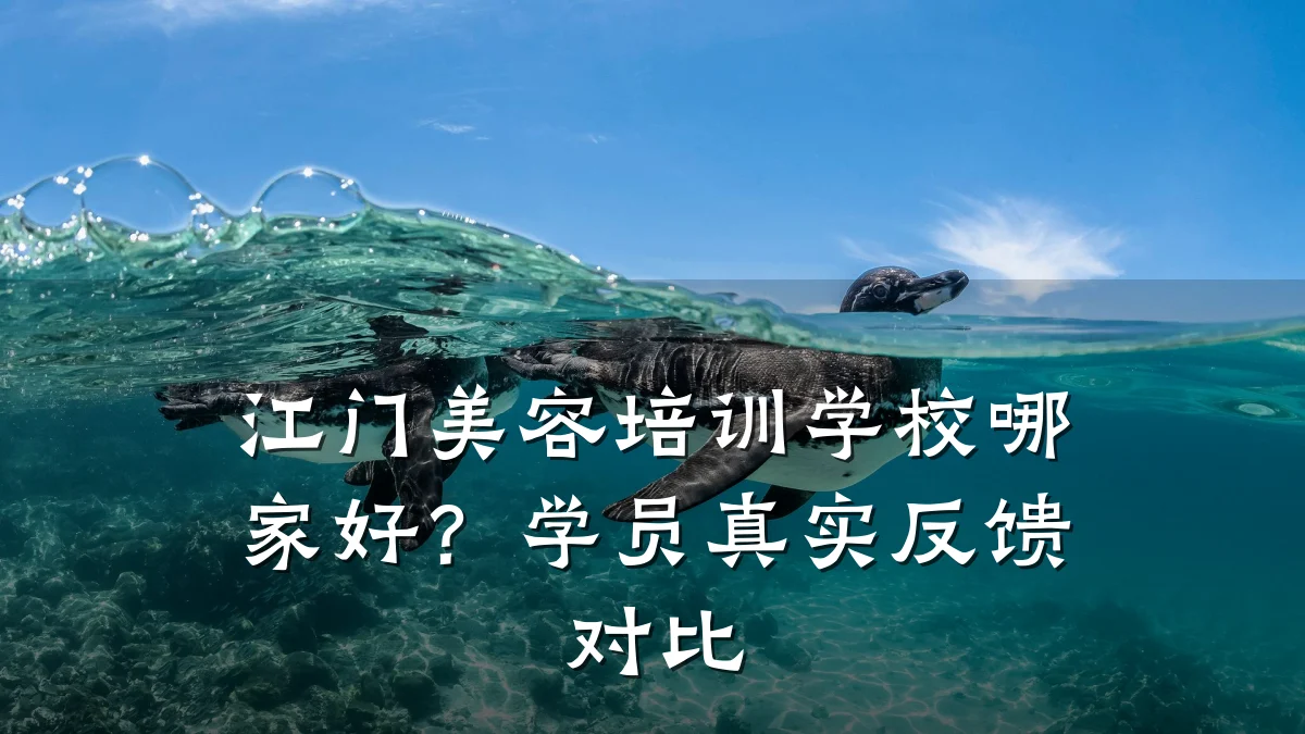 江门美容培训学校哪家好?学员真实反馈对比
