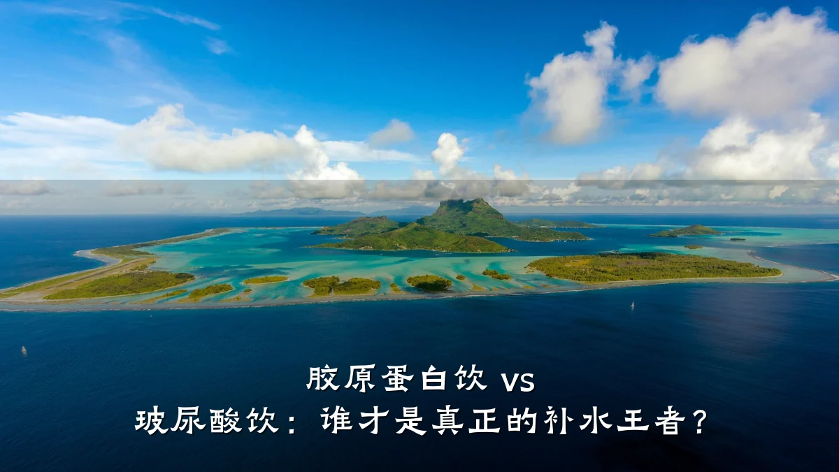 胶原蛋白饮 vs 玻尿酸饮:谁才是真正的补水王者?