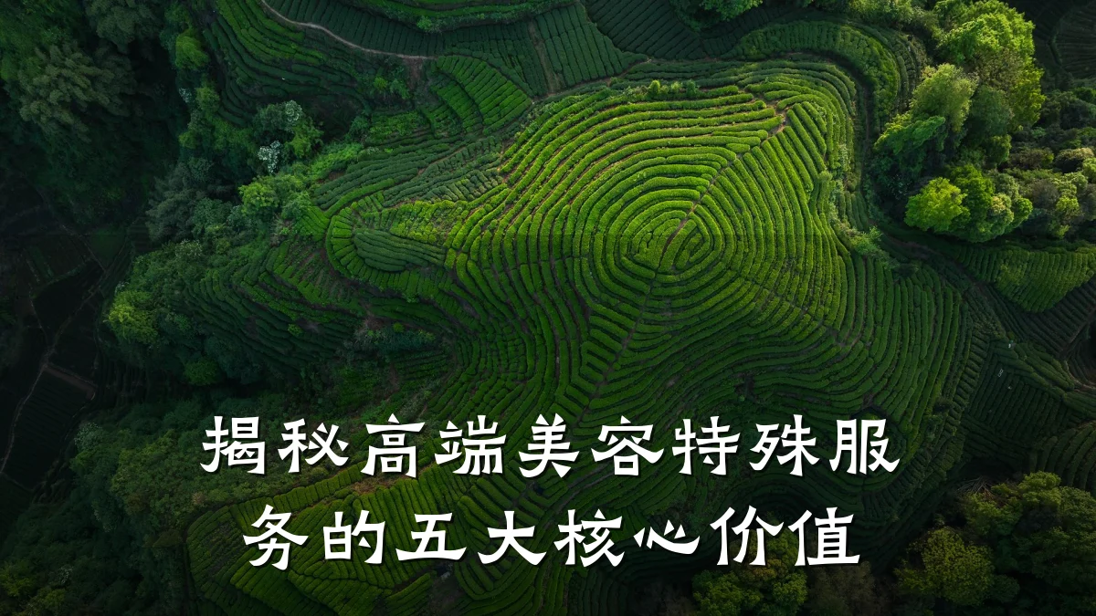 揭秘高端美容特殊服务的五大核心价值