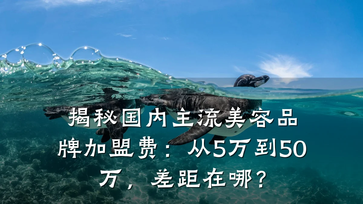 揭秘国内主流美容品牌加盟费：从5万到50万，差距在哪？