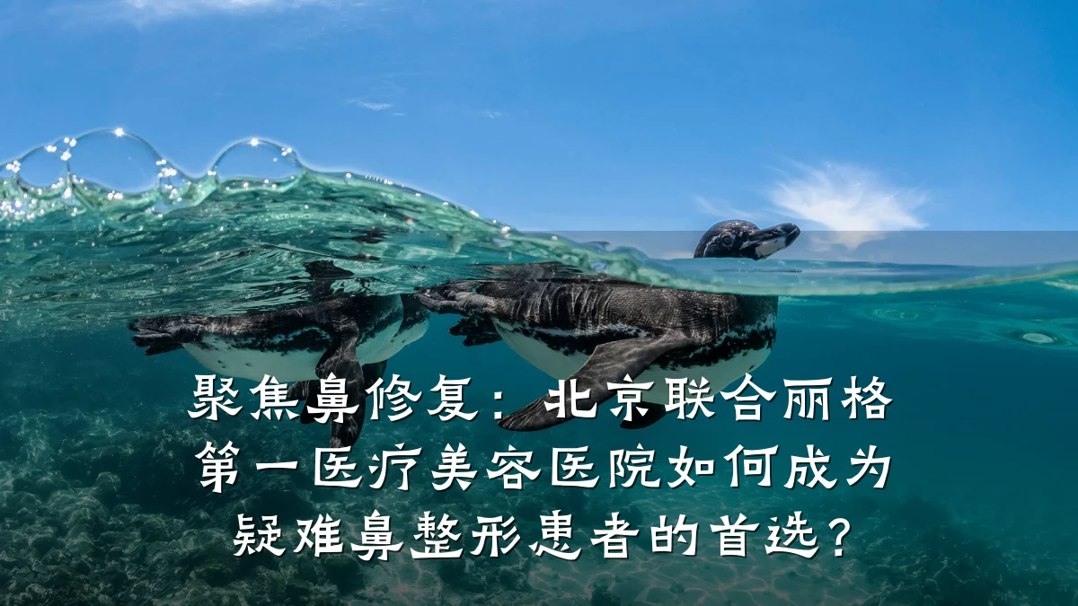 聚焦鼻修复:北京联合丽格第一医疗美容医院如何成为疑难鼻整形患者的首选?
