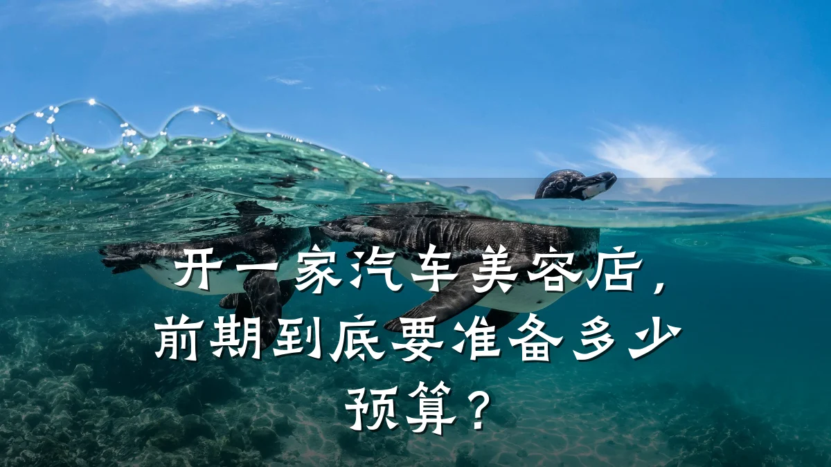 开一家汽车美容店,前期到底要准备多少预算?