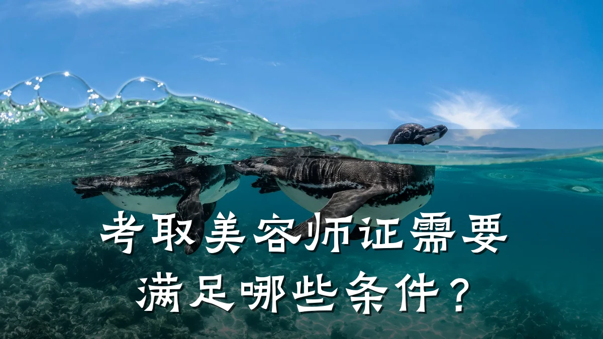 考取美容师证需要满足哪些条件?