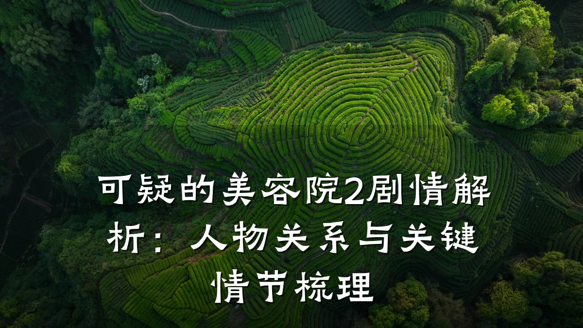 可疑的美容院2剧情解析:人物关系与关键情节梳理