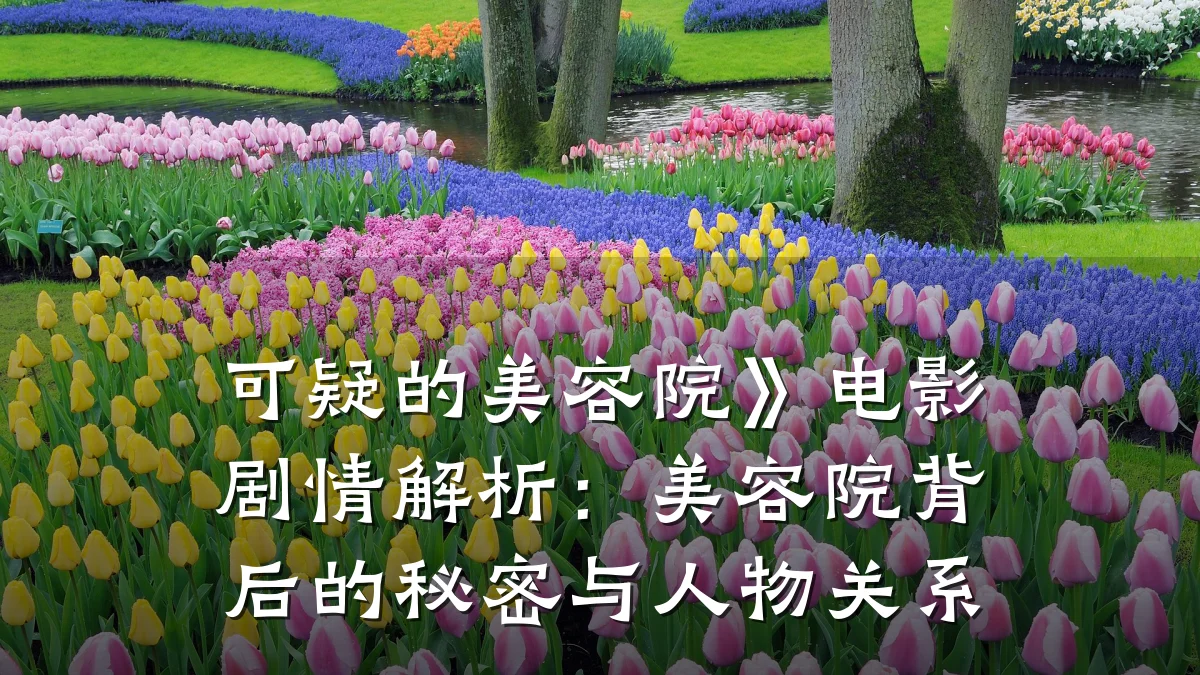 可疑的美容院》电影剧情解析:美容院背后的秘密与人物关系