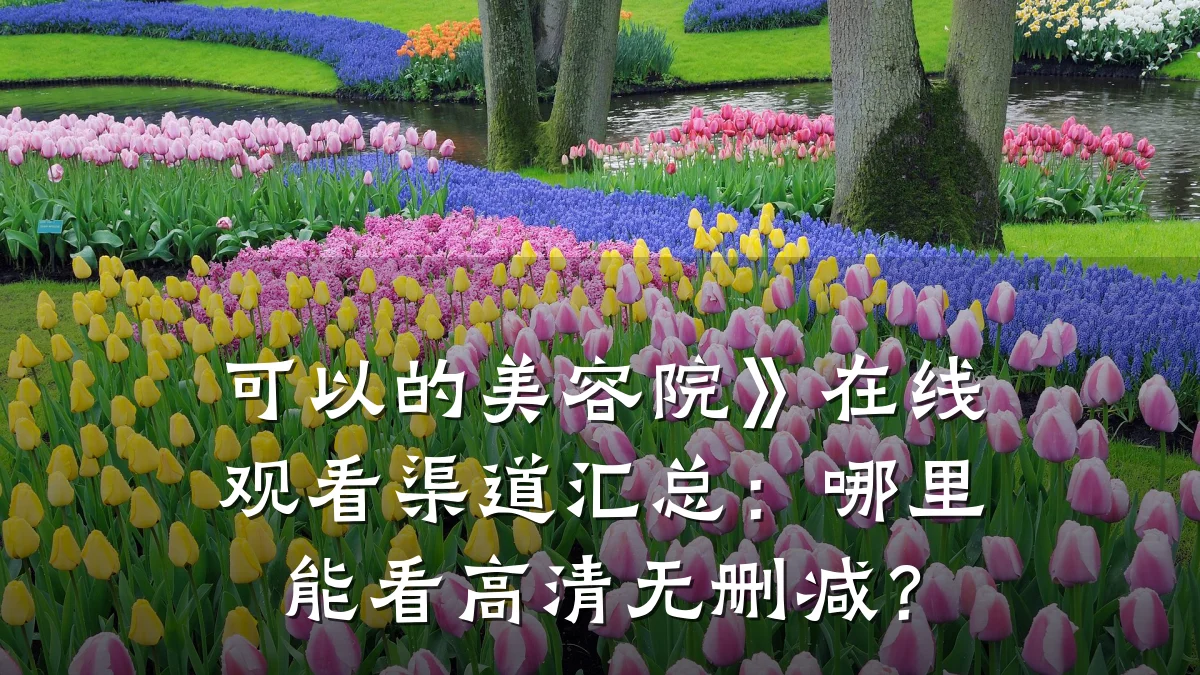 可以的美容院》在线观看渠道汇总:哪里能看高清无删减?