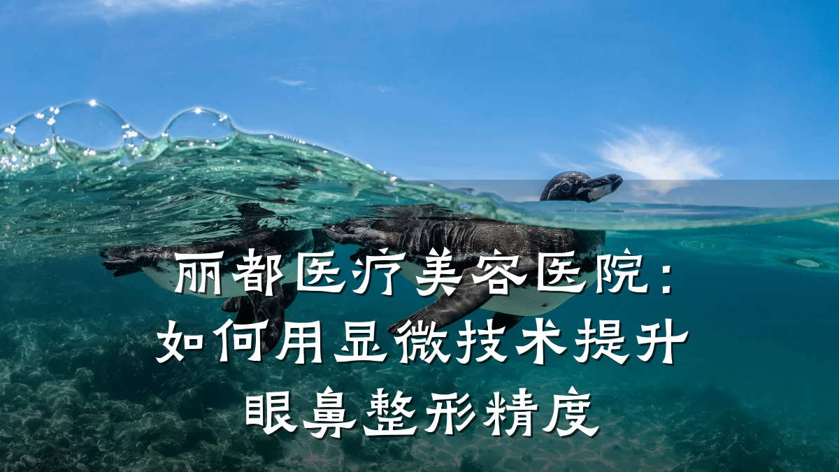 丽都医疗美容医院:如何用显微技术提升眼鼻整形精度