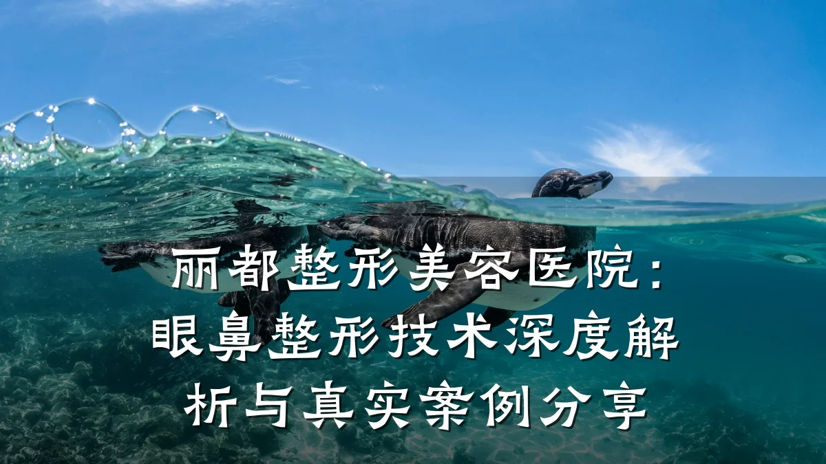 丽都整形美容医院:眼鼻整形技术深度解析与真实案例分享