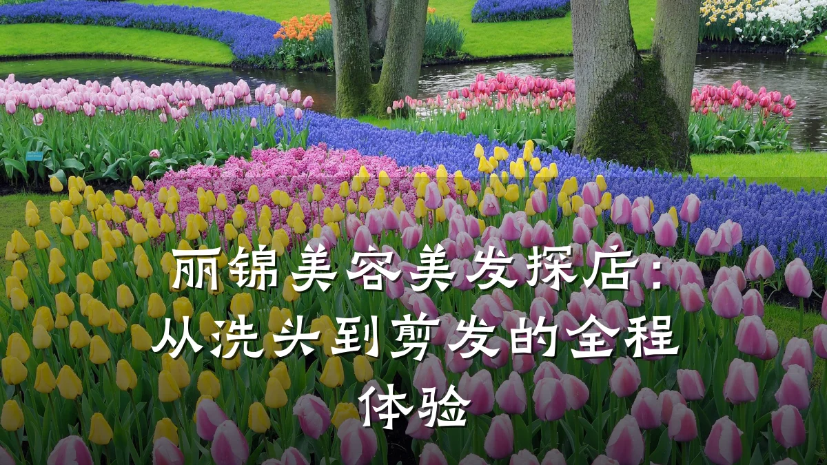 丽锦美容美发探店:从洗头到剪发的全程体验