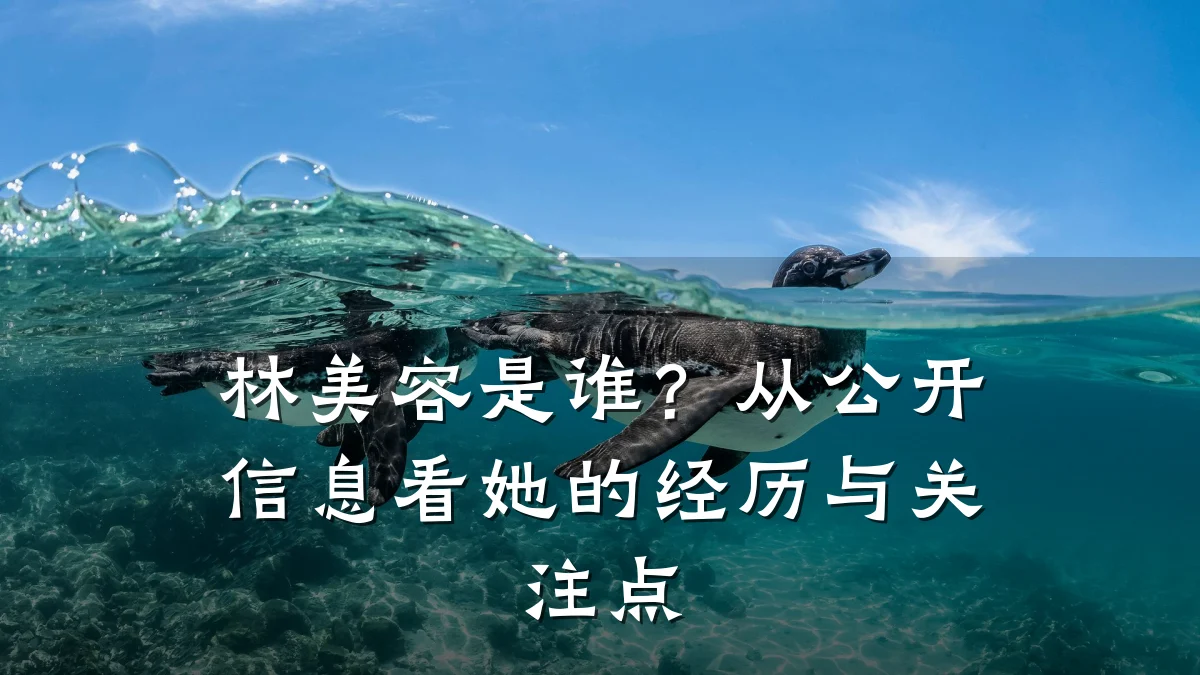 林美容是谁?从公开信息看她的经历与关注点