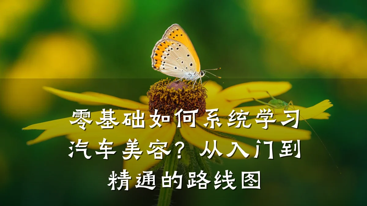 零基础如何系统学习汽车美容?从入门到精通的路线图