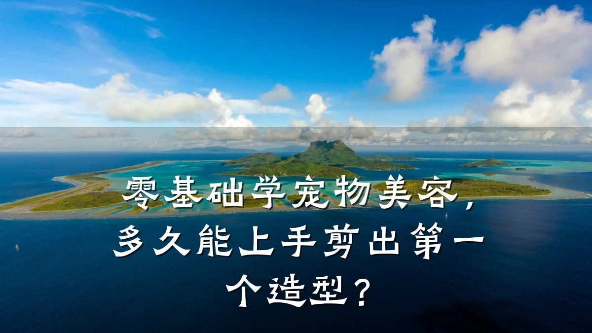 零基础学宠物美容,多久能上手剪出第一个造型?