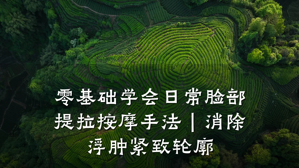 零基础学会日常脸部提拉按摩手法|消除浮肿紧致轮廓